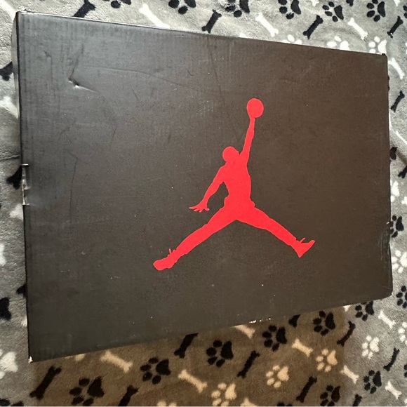 Jordan Carmine 6’s - Picture 6 of 7